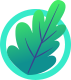 Beech Leaf Icon - For Pricing Table